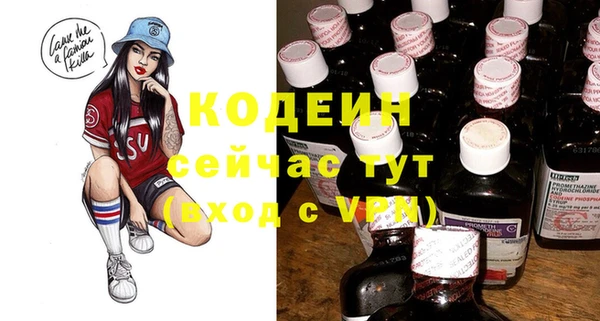 сатива Осинники